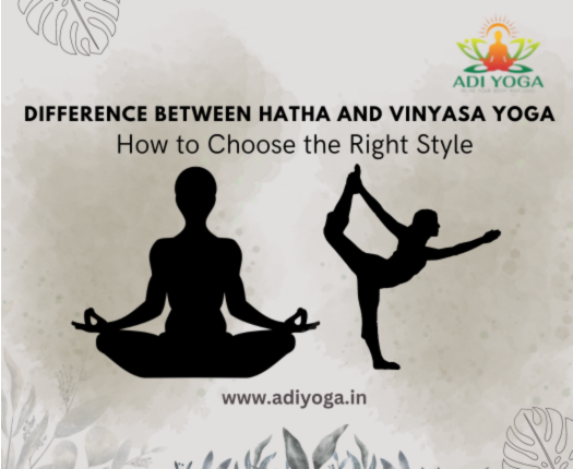 Difference Between Hatha Yoga and Vinyasa Yoga: How to Choose the Right Form of yoga