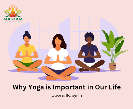 Why Yoga is Important in Our Life: Transformative Benefits of Yoga.