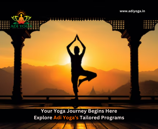 Your Yoga Journey Begins Here: Explore Adi Yoga’s Tailored Programs